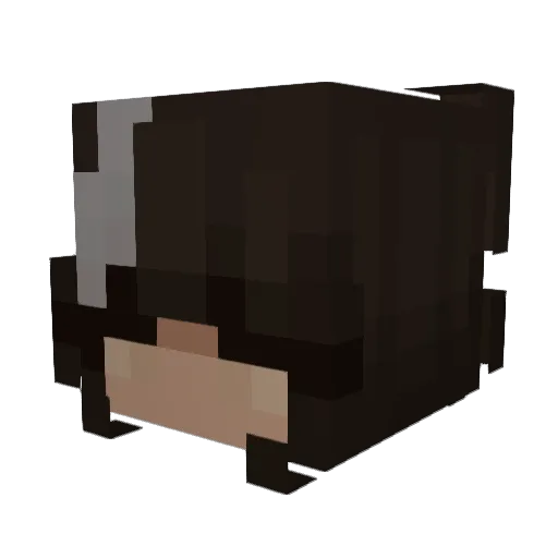 amy1ah Minecraft avatar head, 3D render