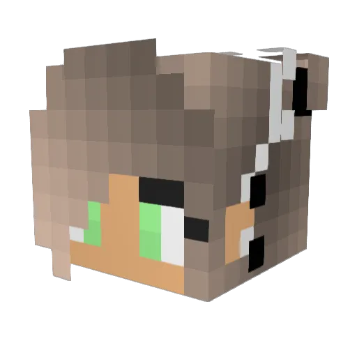 amy3333 Minecraft avatar head, 3D render