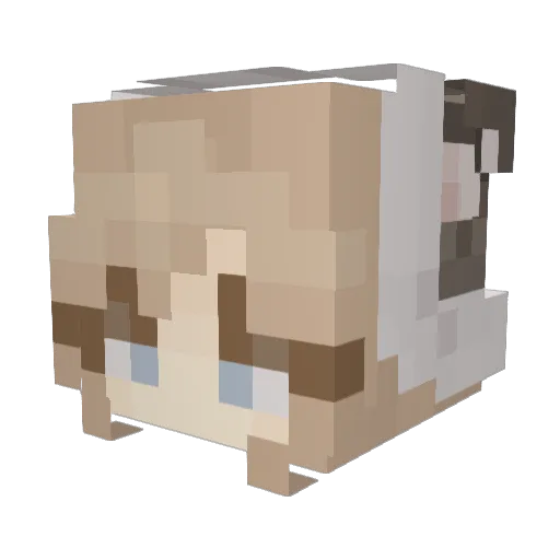 amy_lynn Minecraft avatar head, 3D render