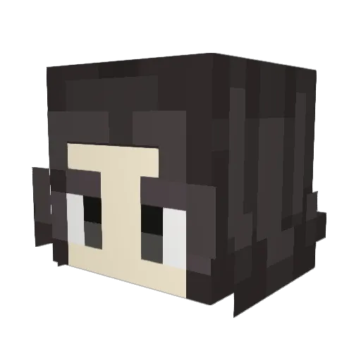 amyanomaly Minecraft avatar head, 3D render