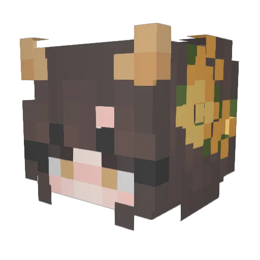 amycat007 Minecraft avatar head, 3D render