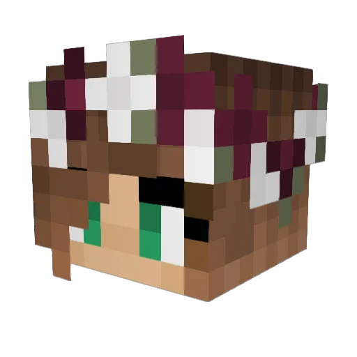 amyisgr8 Minecraft avatar head, 3D render