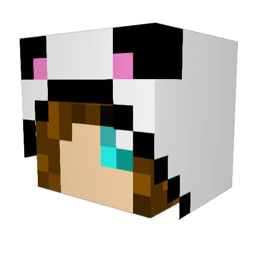 amys5311 Minecraft avatar head, 3D render