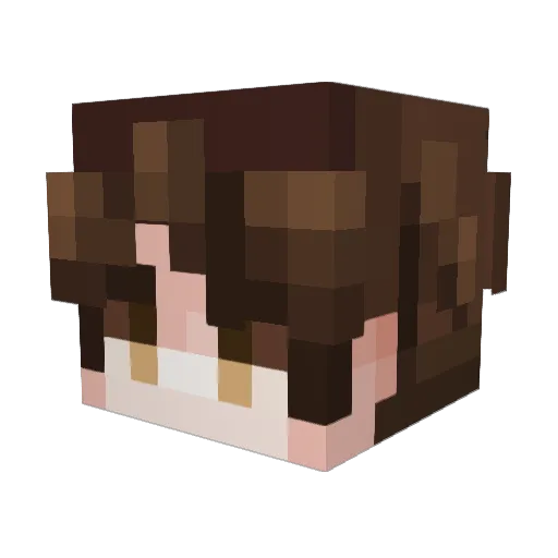an1matedd Minecraft avatar head, 3D render