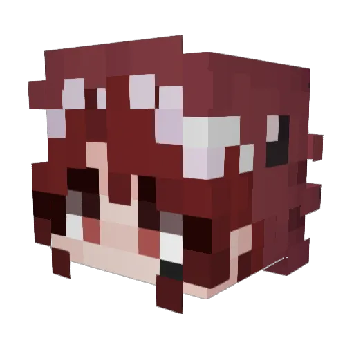 an4rchist Minecraft avatar head, 3D render