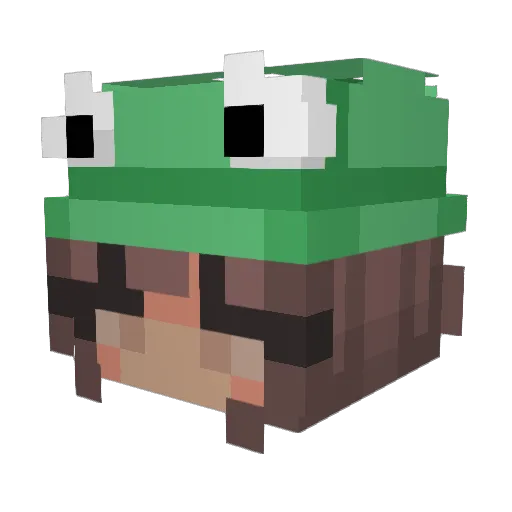 anaach Minecraft avatar head, 3D render