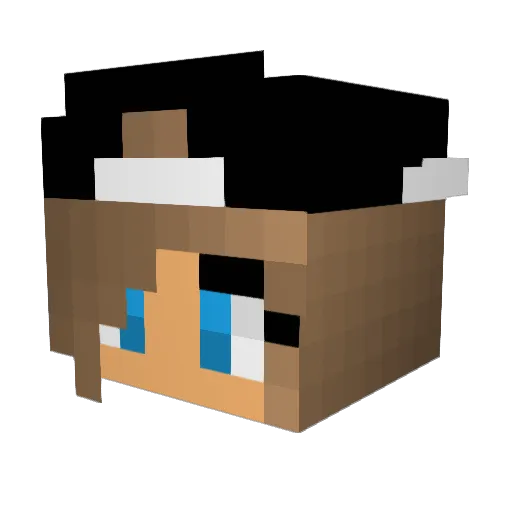 anaarchique Minecraft avatar head, 3D render