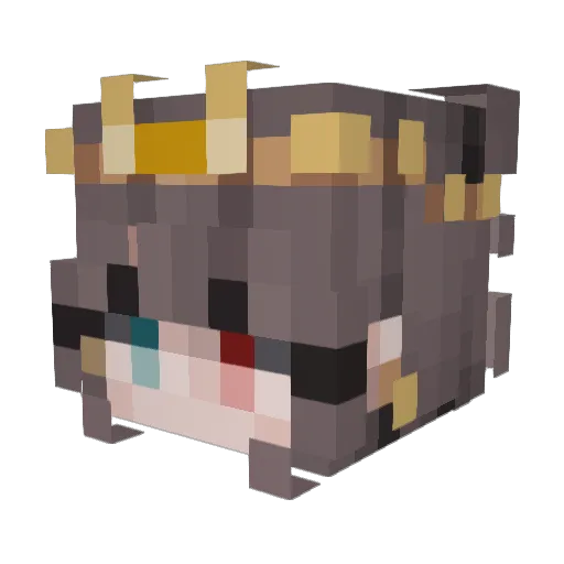 anac_ Minecraft avatar head, 3D render