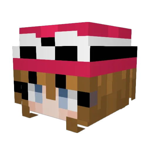 anacds Minecraft avatar head, 3D render