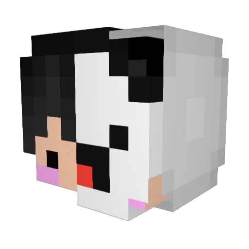 anaddd_ Minecraft avatar head, 3D render