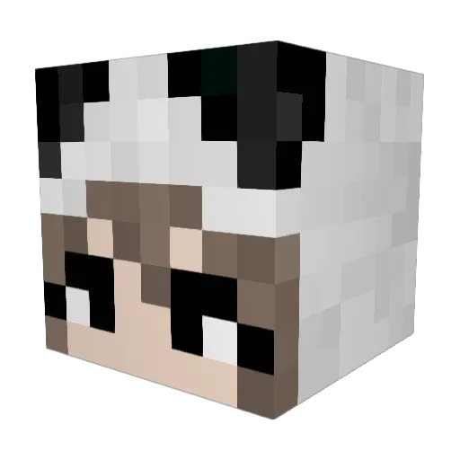 anadearmass Minecraft avatar head, 3D render