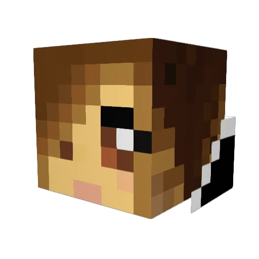 anadestroyer Minecraft avatar head, 3D render
