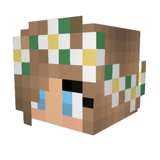 anadeves Minecraft avatar head, 3D render