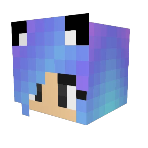 anafitz2000 Minecraft avatar head, 3D render