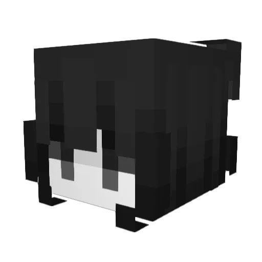 anafs04 Minecraft avatar head, 3D render