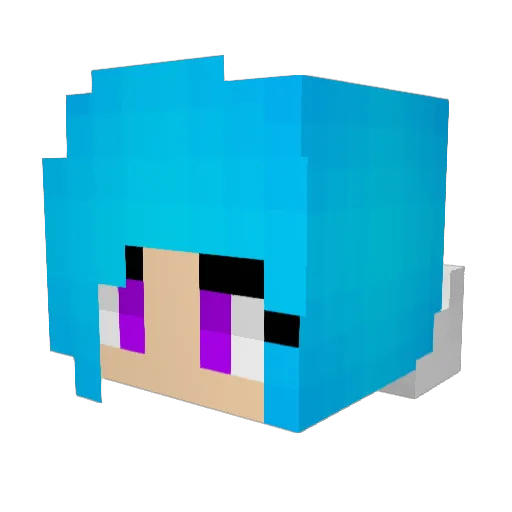 anahhk Minecraft avatar head, 3D render
