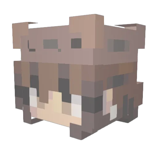anahimrtz Minecraft avatar head, 3D render