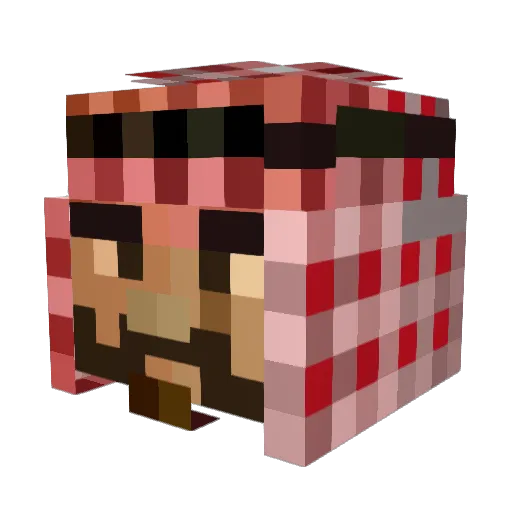 anahsh Minecraft avatar head, 3D render