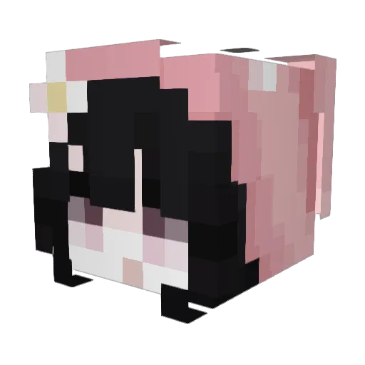 anailah Minecraft avatar head, 3D render