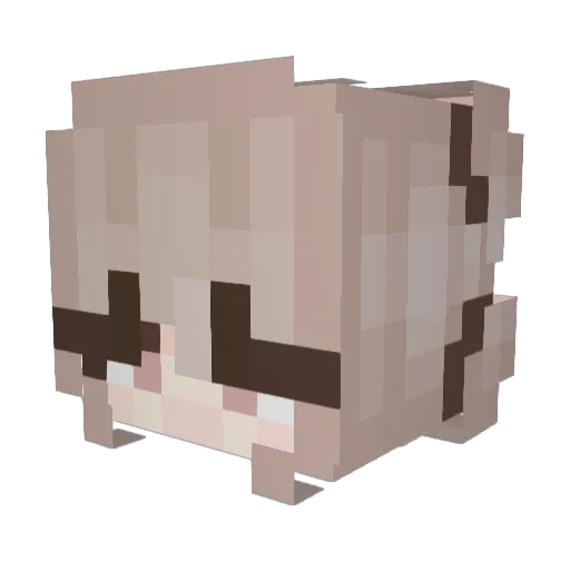 anailson3 Minecraft avatar head, 3D render