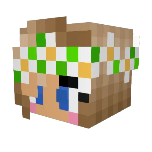 anais2004 Minecraft avatar head, 3D render