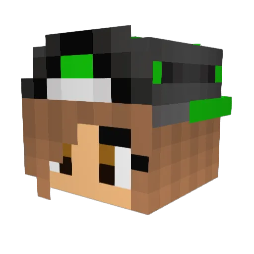 anaisa1 Minecraft avatar head, 3D render