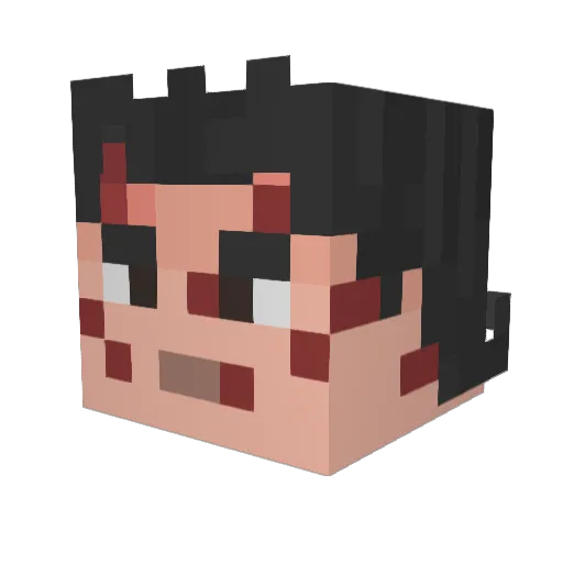 anakin2564 Minecraft avatar head, 3D render