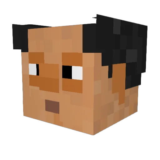 anakinopaq Minecraft avatar head, 3D render