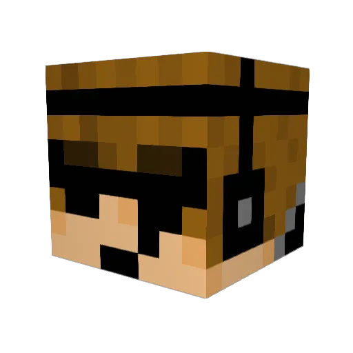 anakinsky2014 Minecraft avatar head, 3D render