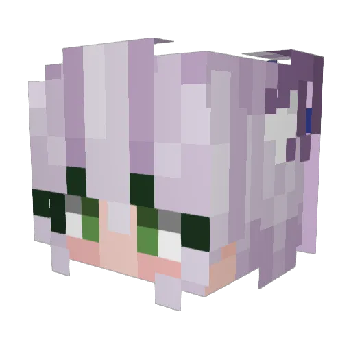 analminer69 Minecraft avatar head, 3D render