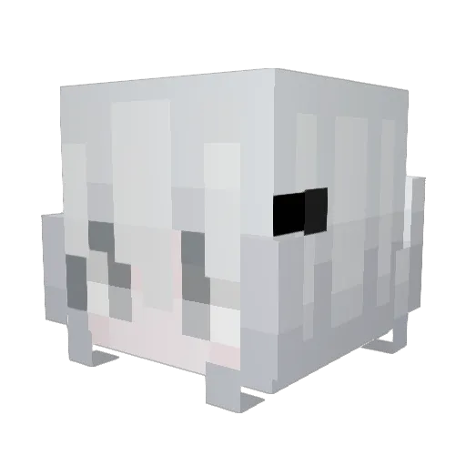 anan_QuanQianGou Minecraft avatar head, 3D render
