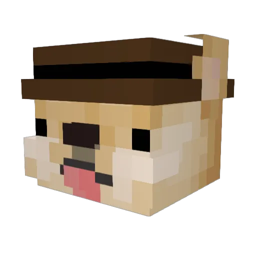anananaz Minecraft avatar head, 3D render