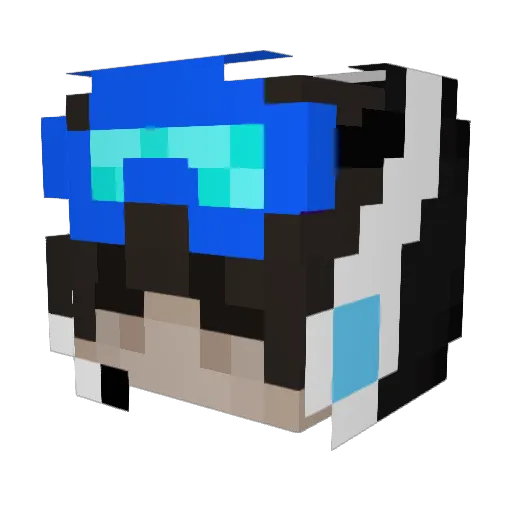 ananasDN Minecraft avatar head, 3D render