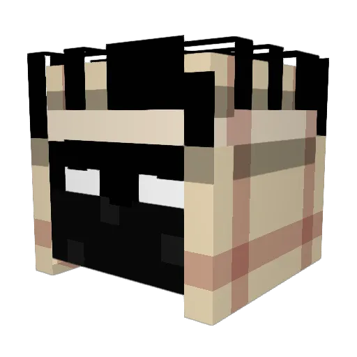 ananasek16 Minecraft avatar head, 3D render