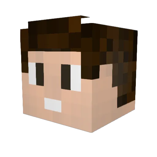 ananasemre Minecraft avatar head, 3D render