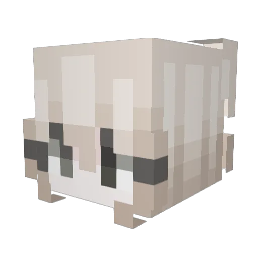 anaoj Minecraft avatar head, 3D render