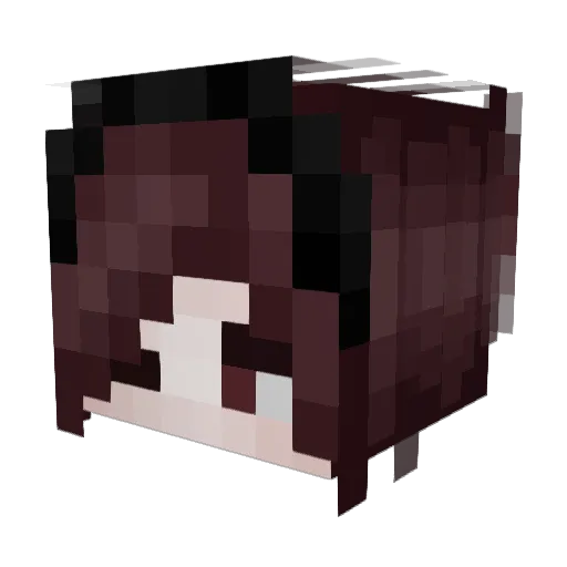 anarchistpearl Minecraft avatar head, 3D render