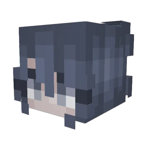 anarchyXGrey Minecraft avatar head, 3D render