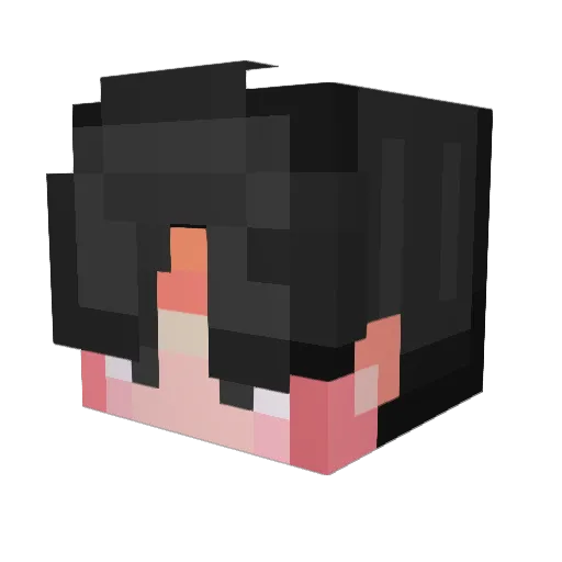 anarinooo Minecraft avatar head, 3D render