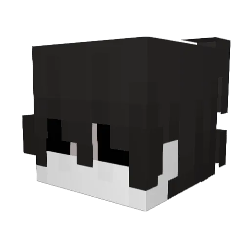 anas2023 Minecraft avatar head, 3D render