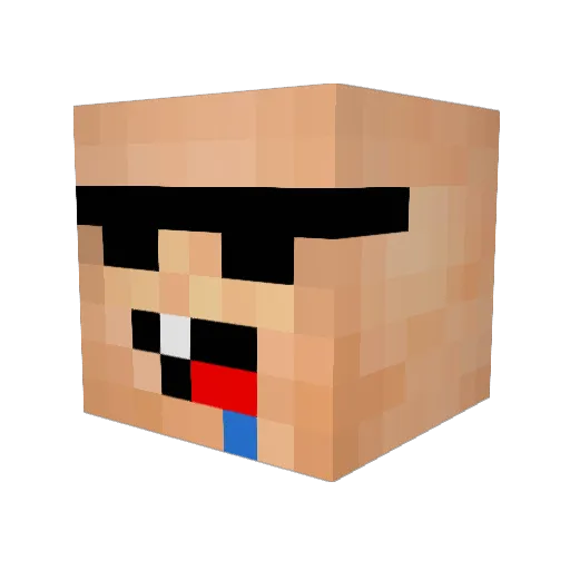 anassopjescherm Minecraft avatar head, 3D render