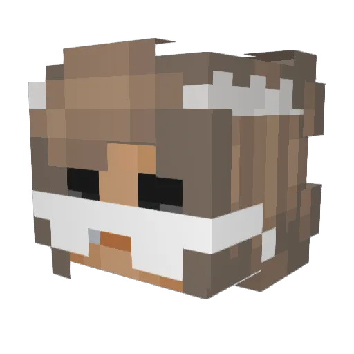 anastasiacaca Minecraft avatar head, 3D render