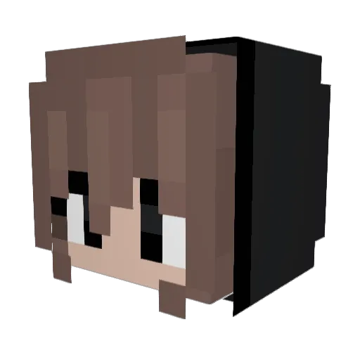 anastmaz Minecraft avatar head, 3D render