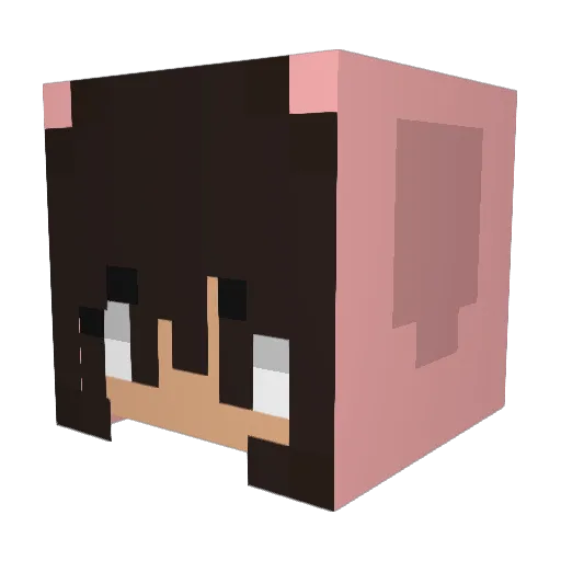 anathr119 Minecraft avatar head, 3D render