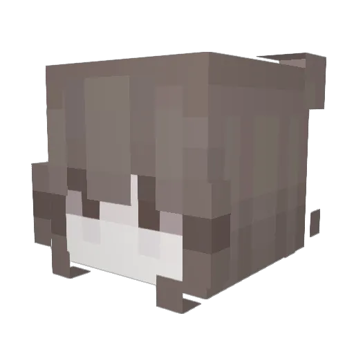 anatixaa Minecraft avatar head, 3D render