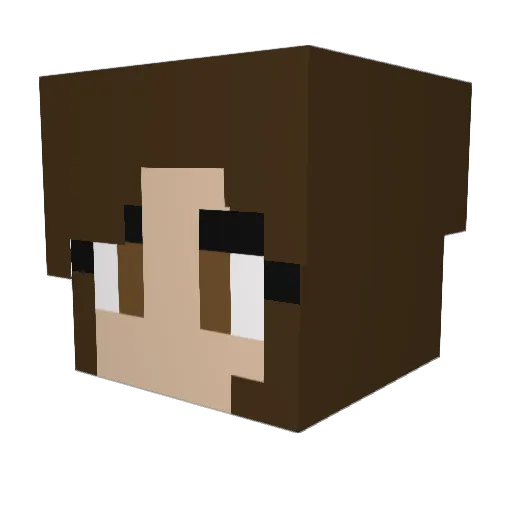 anaverage_person Minecraft avatar head, 3D render