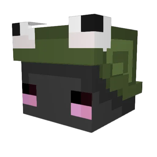 anaxpeter Minecraft avatar head, 3D render