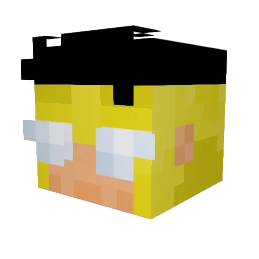 anaxs672 Minecraft avatar head, 3D render
