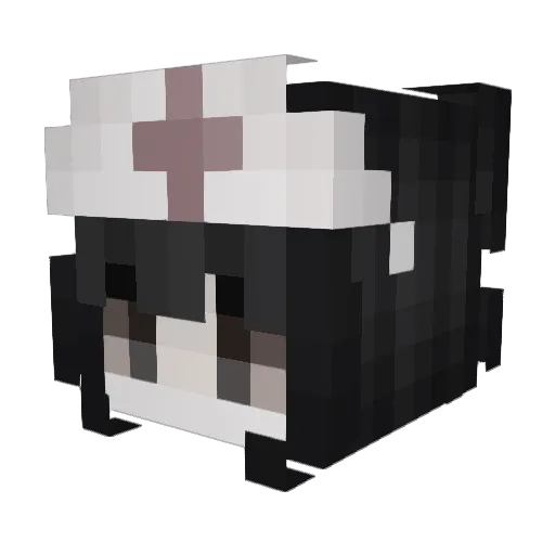 anayal8ter Minecraft avatar head, 3D render