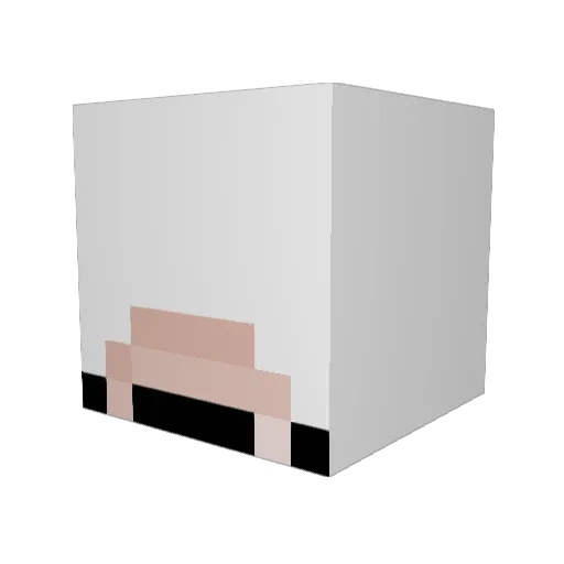 anbt565 Minecraft avatar head, 3D render